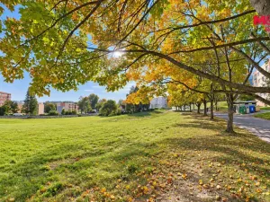 Prodej bytu 4+1, Světlá nad Sázavou, Na Bradle, 70 m2