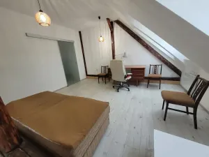 Pronájem bytu 1+1, Brno, Palackého třída, 43 m2