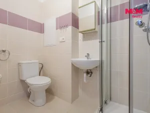 Pronájem bytu 2+1, Zákupy, Družstevní, 53 m2