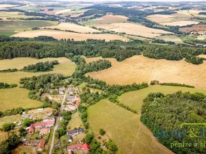 Prodej lesa, Zvěstov, 45954 m2