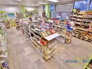 Pronájem obchodního prostoru, Praha - Troja, Lodžská, 254 m2