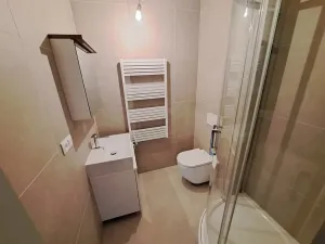 Pronájem bytu 1+kk, Brno, Koliště, 25 m2