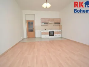 Pronájem bytu 2+kk, Praha - Nusle, Sdružení, 50 m2