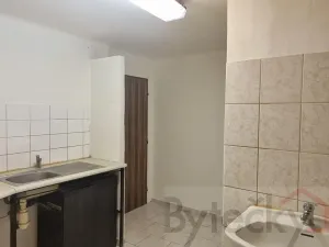 Pronájem bytu 1+1, Praha - Strašnice, Srbínská, 24 m2