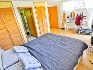 Pronájem bytu 2+kk, Lešná, 120 m2