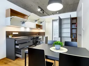 Pronájem bytu 2+kk, Brno, Cejl, 48 m2
