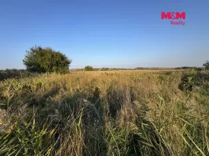 Prodej pole, Ořechov, 10404 m2