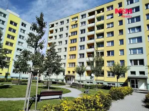 Pronájem bytu 1+1, Bruntál, Dělnická, 33 m2