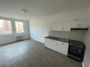 Pronájem bytu 1+kk, Ústí nad Labem, Masarykova, 26 m2