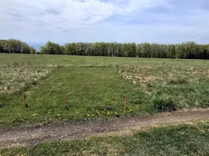 Prodej louky, Osek, 1013 m2