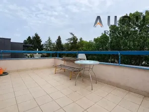 Pronájem bytu 4+1, Praha - Břevnov, Na Petřinách, 105 m2