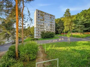 Prodej bytu 1+kk, Ústí nad Labem, Vinařská, 32 m2
