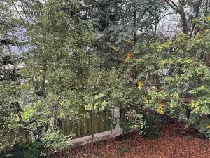 Pronájem bytu 1+kk, Průhonice, U Křížku, 35 m2
