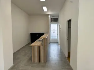 Pronájem komerční nemovitosti, Děčín, Prokopa Holého, 72 m2