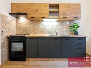 Pronájem bytu 1+1, Olomouc, Družební, 36 m2