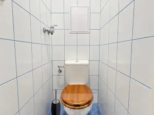 Pronájem bytu 2+1, Praha - Podolí, Podolská, 57 m2