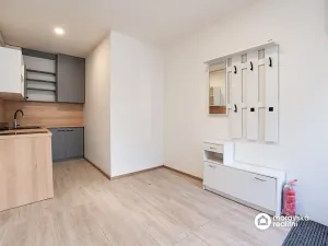 Prodej kanceláře, Brno, Viniční, 31 m2