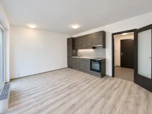 Pronájem bytu 1+kk, Praha - Holešovice, Na Maninách, 33 m2