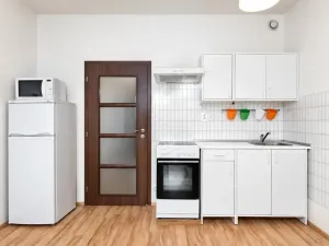 Prodej bytu 1+kk, Praha - Vysočany, Freyova, 33 m2