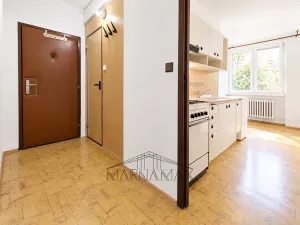 Prodej bytu 1+1, Jirkov, Krušnohorská, 42 m2