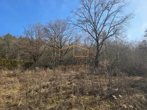 Prodej pozemku pro bydlení, Mnichovice, 1059 m2