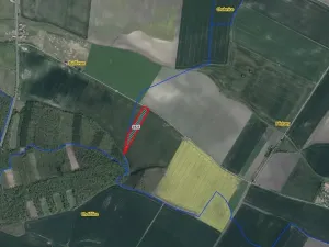 Prodej pole, Běchary, 12202 m2