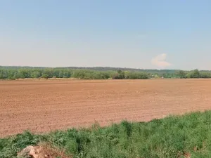Prodej pole, Štětí, 14700 m2