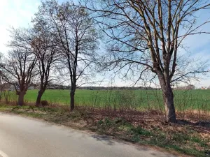 Prodej pozemku pro bydlení, Chlumec nad Cidlinou, 20781 m2