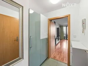 Prodej bytu 1+kk, Praha - Záběhlice, Na Slatince, 31 m2