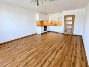 Pronájem bytu 2+kk, Hodonín, 51 m2