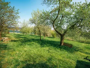Prodej zahrady, Suchonice, 1301 m2