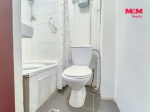 Prodej bytu 1+kk, Plzeň - Lobzy, Rokycanská, 30 m2