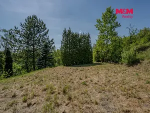 Prodej zahrady, Hoštka, 1856 m2