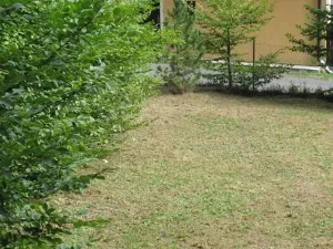 Prodej chaty, Dolní Žandov, 45 m2