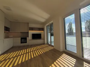 Pronájem bytu 1+kk, Brno, U zoologické zahrady, 40 m2