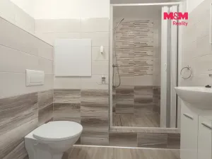 Pronájem bytu 1+kk, Slaný, Na Dolíkách, 33 m2