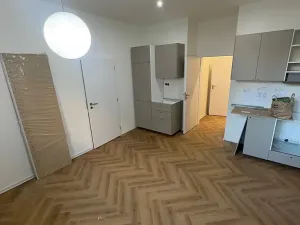Prodej bytu 2+kk, Praha - Nusle, Nad studánkou, 38 m2