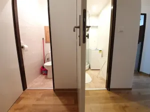 Pronájem bytu 2+kk, Praha, Přemyslovská, 46 m2