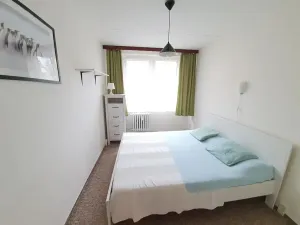 Pronájem bytu 2+kk, Praha, Přemyslovská, 46 m2