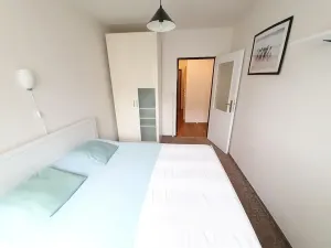 Pronájem bytu 2+kk, Praha, Přemyslovská, 46 m2