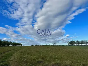Prodej pozemku pro bydlení, Hroznová Lhota, 3079 m2
