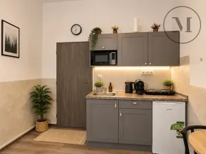 Prodej bytu 1+kk, Benešov nad Černou, 17 m2