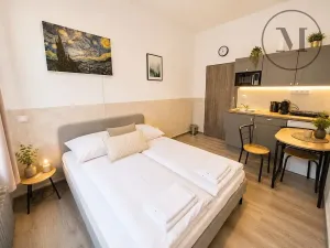 Prodej bytu 1+kk, Benešov nad Černou, 17 m2