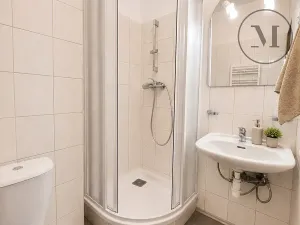 Prodej bytu 1+kk, Benešov nad Černou, 17 m2