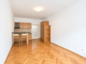 Pronájem bytu 1+kk, Praha - Žižkov, Biskupcova, 30 m2