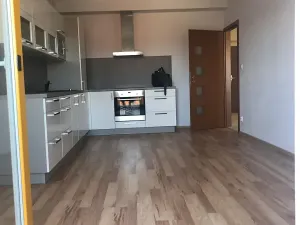 Prodej bytu 2+kk, Plzeň, U Velkého rybníka, 56 m2