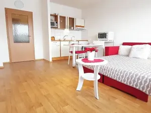 Pronájem bytu 1+kk, Brno, Sevastopolská, 38 m2