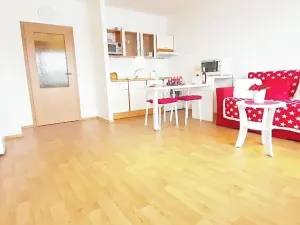Pronájem bytu 1+kk, Brno, Sevastopolská, 38 m2