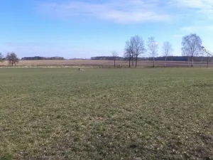 Prodej pole, Stříbřec, 5200 m2