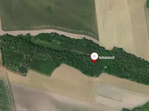 Prodej lesa, Kovanice, 8552 m2